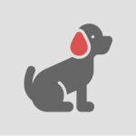 PET SHOP
